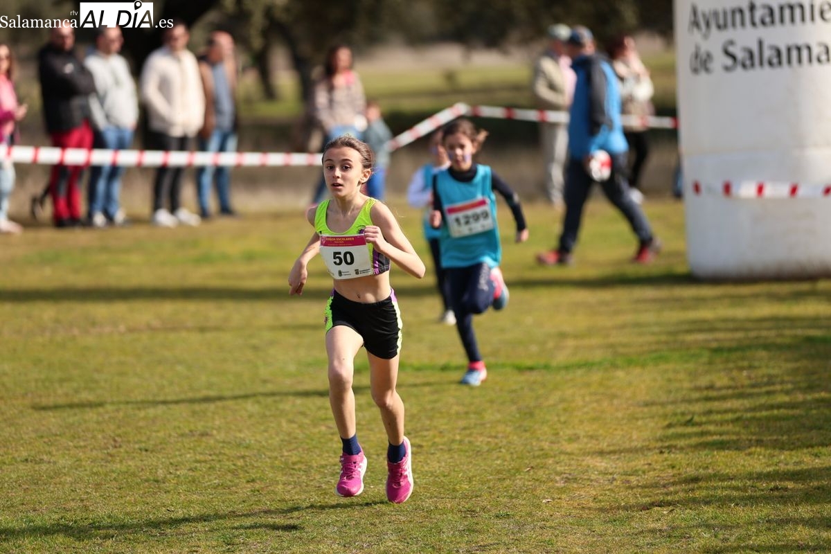 Zarapicos acoge la final de campo a través escolar (GALERÍA DE FOTOS)