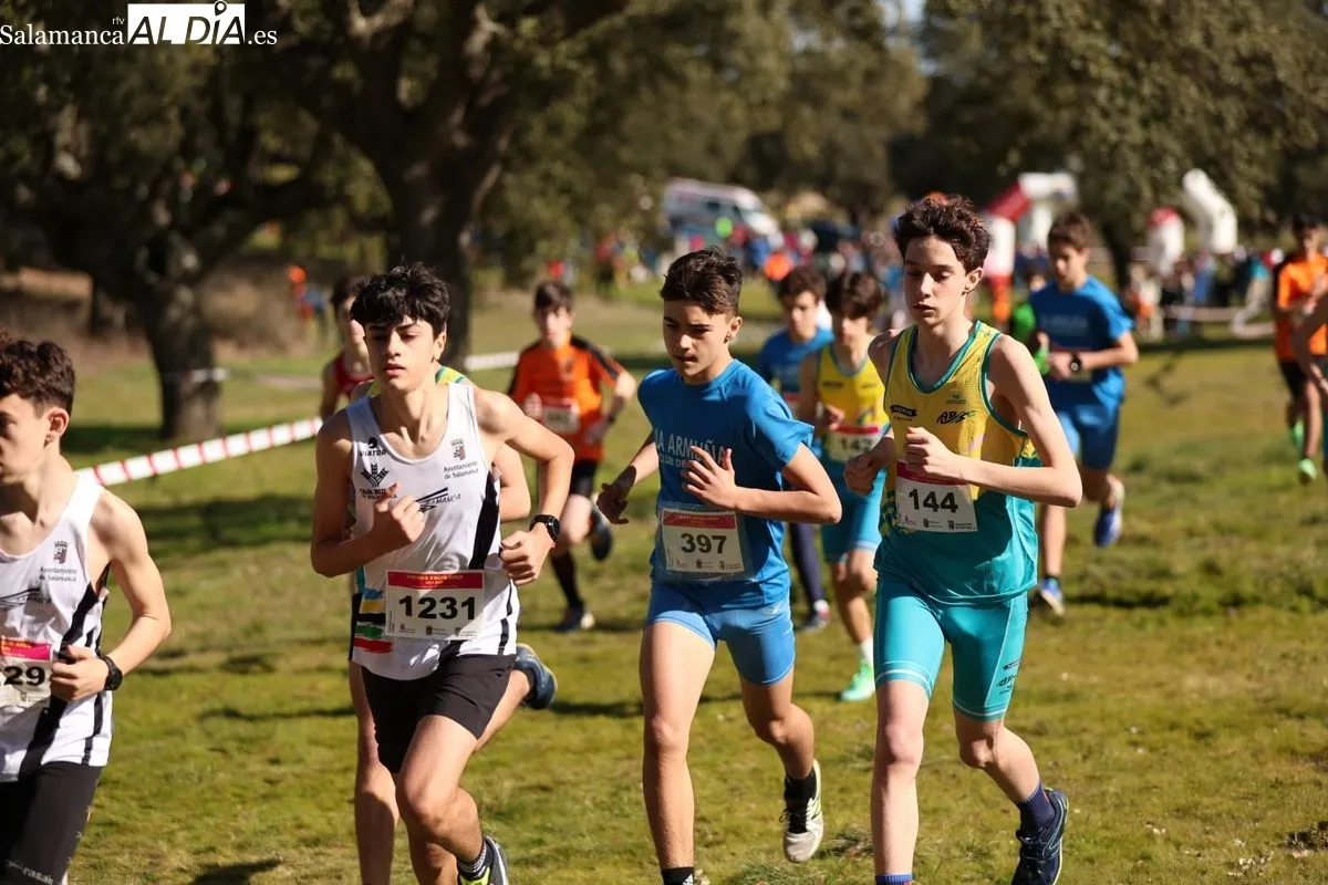 Foto 18 - Zarapicos acoge la final de campo a trav&eacute;s escolar (GALER&Iacute;A DE FOTOS)