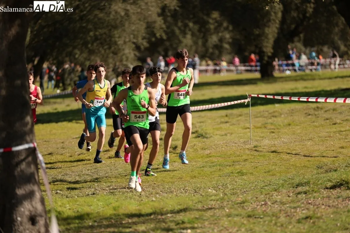 Foto 8 - Zarapicos acoge la final de campo a trav&eacute;s escolar (GALER&Iacute;A DE FOTOS)