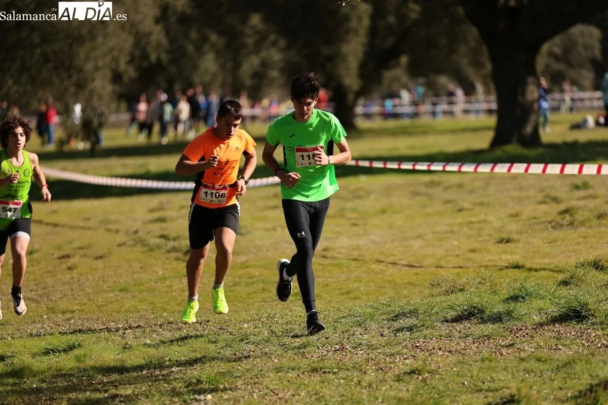 Foto 5 - Zarapicos acoge la final de campo a trav&eacute;s escolar (GALER&Iacute;A DE FOTOS)