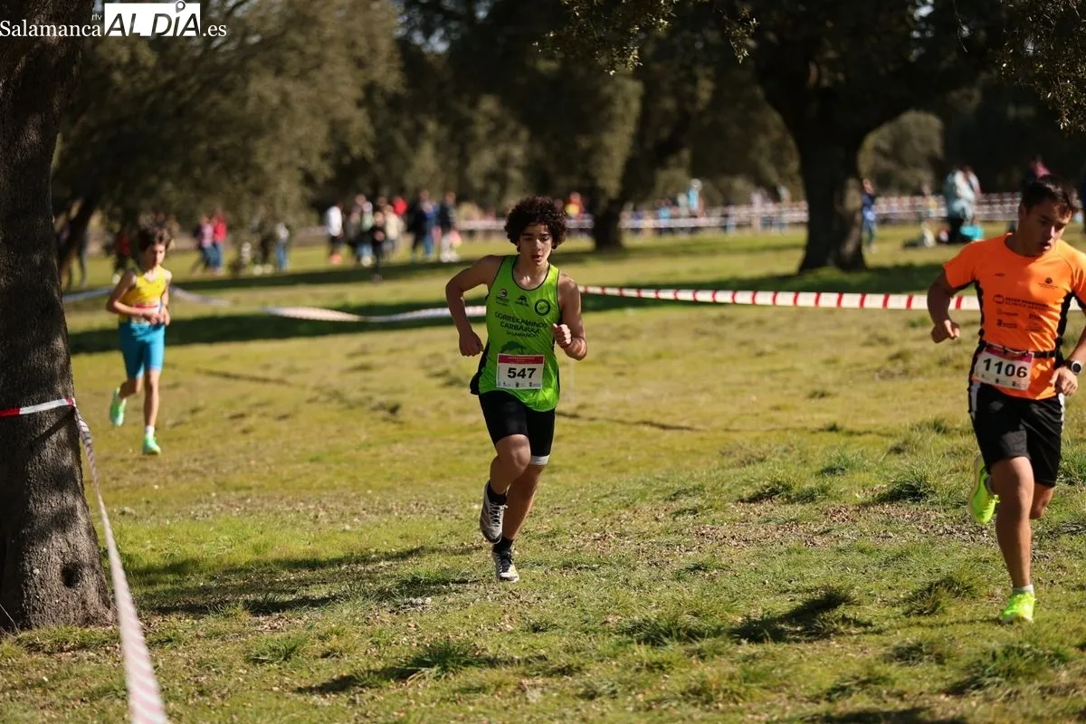 Foto 4 - Zarapicos acoge la final de campo a trav&eacute;s escolar (GALER&Iacute;A DE FOTOS)
