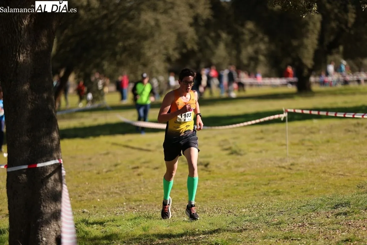 Foto 2 - Zarapicos acoge la final de campo a trav&eacute;s escolar (GALER&Iacute;A DE FOTOS)