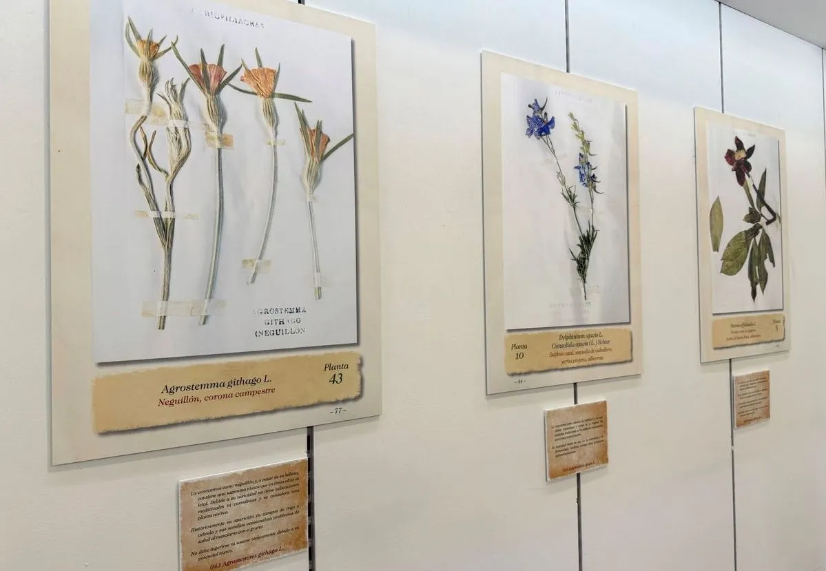 Exposición 'El herbario de Félix Antigüedad' en el Centro Comercial El Tormes