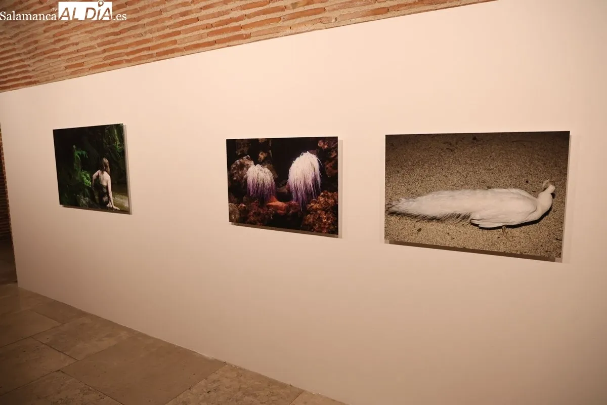 Inauguración de la exposición 'Ese Lugar concreto que nada anuncia' | FOTOS: David Sañudo 
