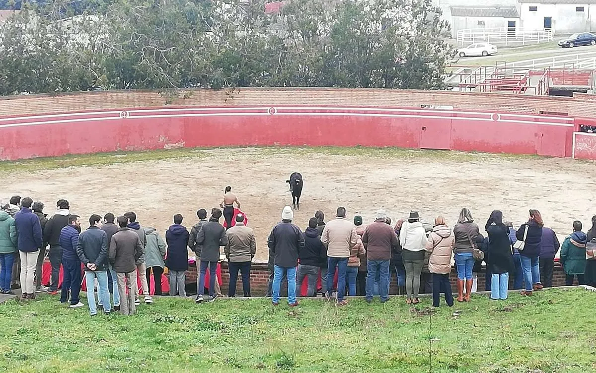 Foto 7 - El Bols&iacute;n completa su 1&ordf; ronda con otra exitosa tienta con vacas de El Capea bravas y nobles