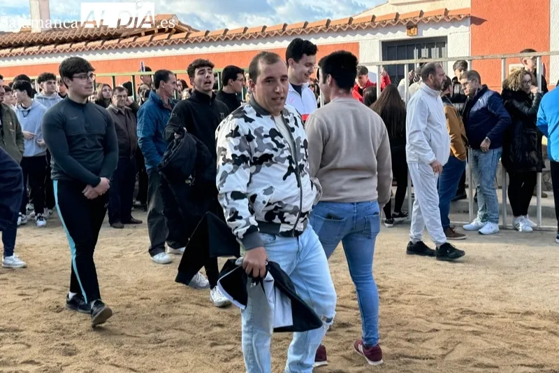 Toro de San Blas en Babilafuente