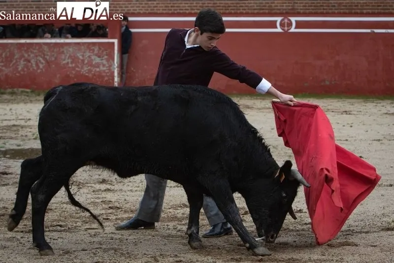 Foto 7 - Antonio Garc&iacute;a y Nico P&eacute;rez debutan en el Bols&iacute;n Taurino de Ciudad Rodrigo