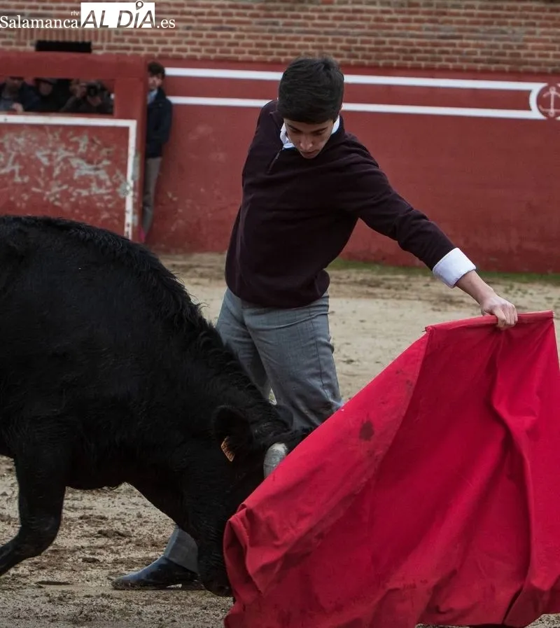 Foto 6 - Antonio Garc&iacute;a y Nico P&eacute;rez debutan en el Bols&iacute;n Taurino de Ciudad Rodrigo