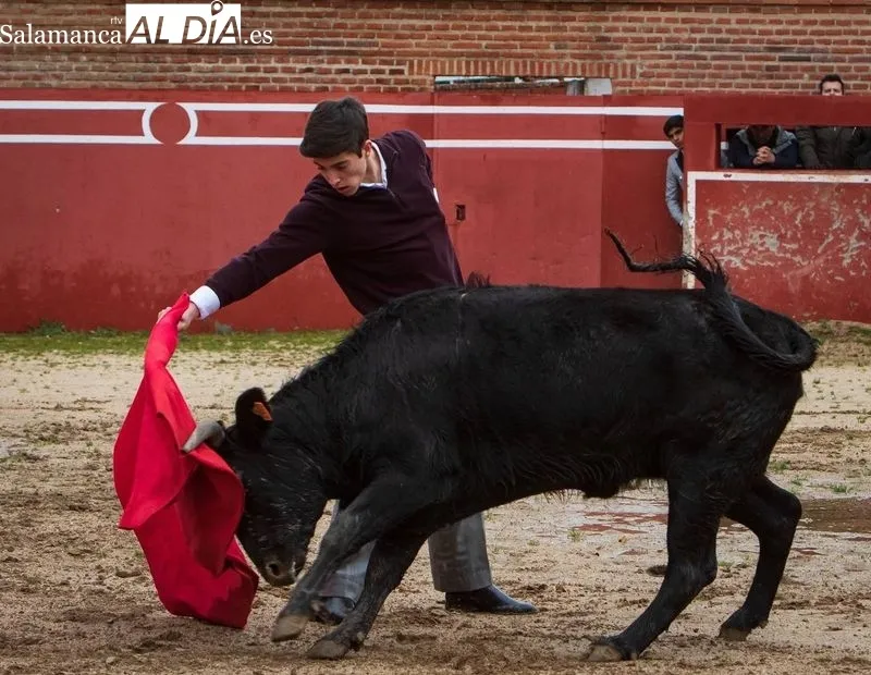 Foto 5 - Antonio Garc&iacute;a y Nico P&eacute;rez debutan en el Bols&iacute;n Taurino de Ciudad Rodrigo