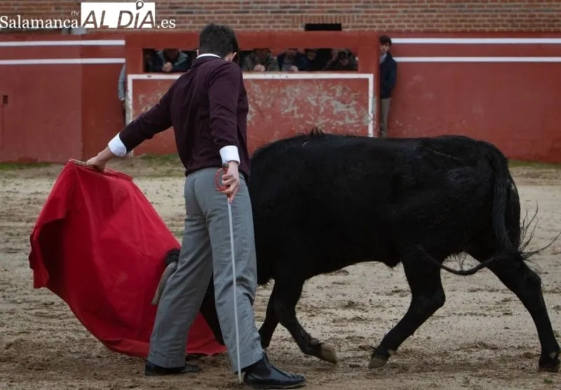 Foto 3 - Antonio Garc&iacute;a y Nico P&eacute;rez debutan en el Bols&iacute;n Taurino de Ciudad Rodrigo
