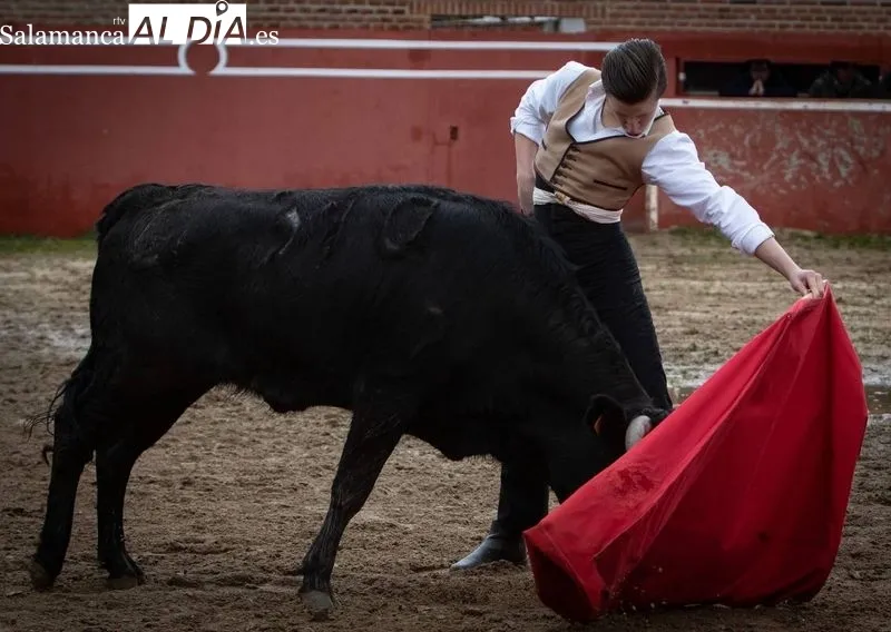 Foto 2 - Antonio Garc&iacute;a y Nico P&eacute;rez debutan en el Bols&iacute;n Taurino de Ciudad Rodrigo