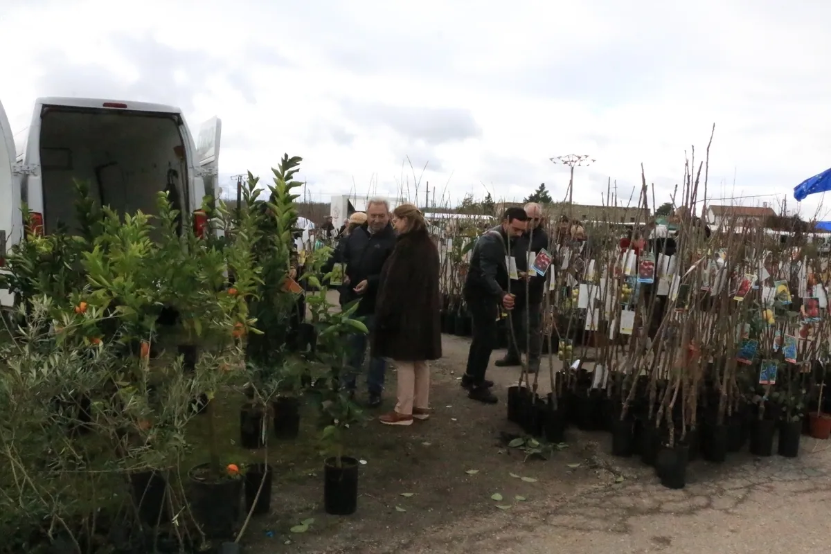 Mercadillo de Trabanca este domingo 2 de febrero / CORRAL