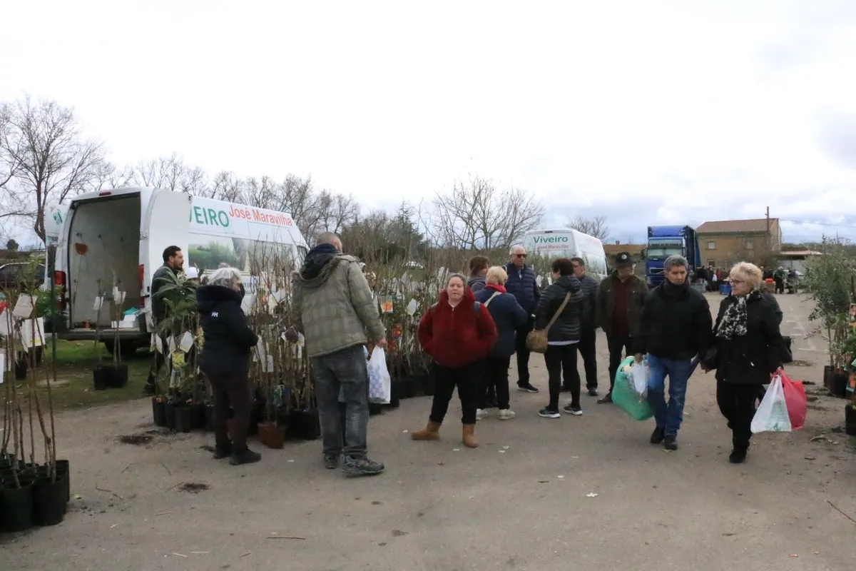 Mercadillo de Trabanca este domingo 2 de febrero / CORRAL