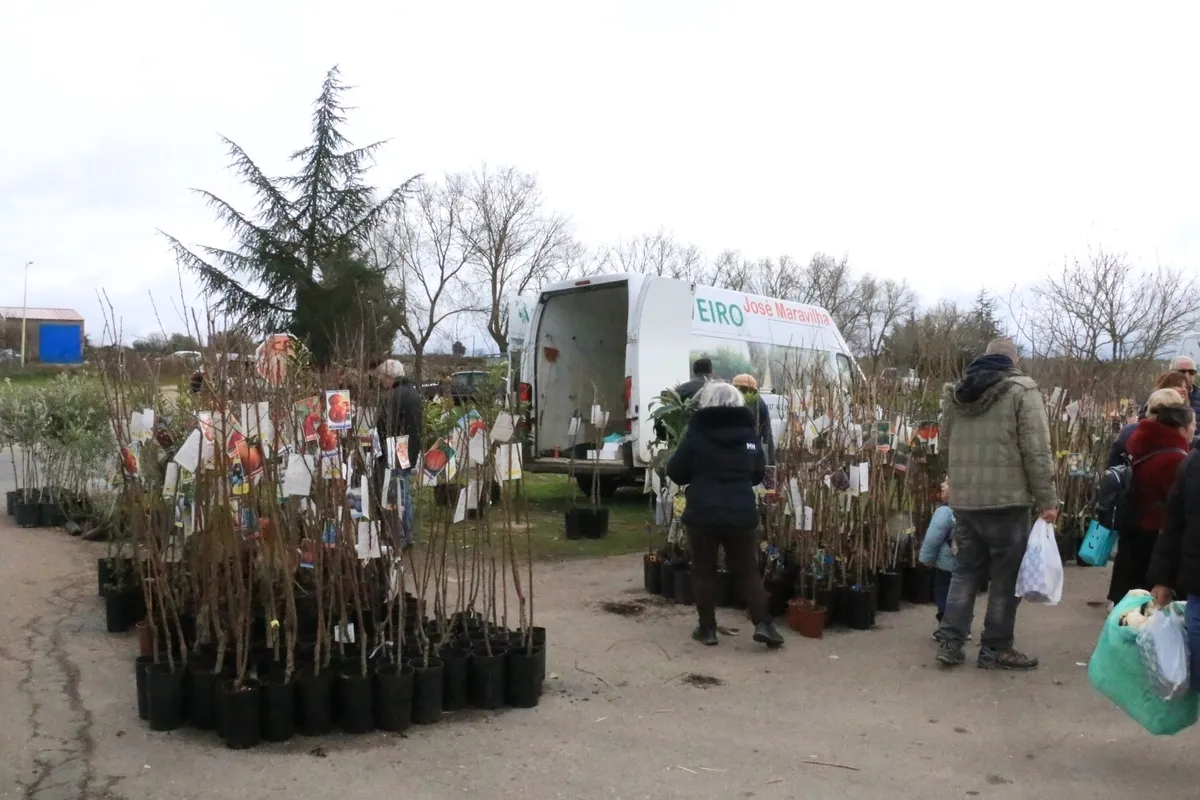 Mercadillo de Trabanca este domingo 2 de febrero / CORRAL
