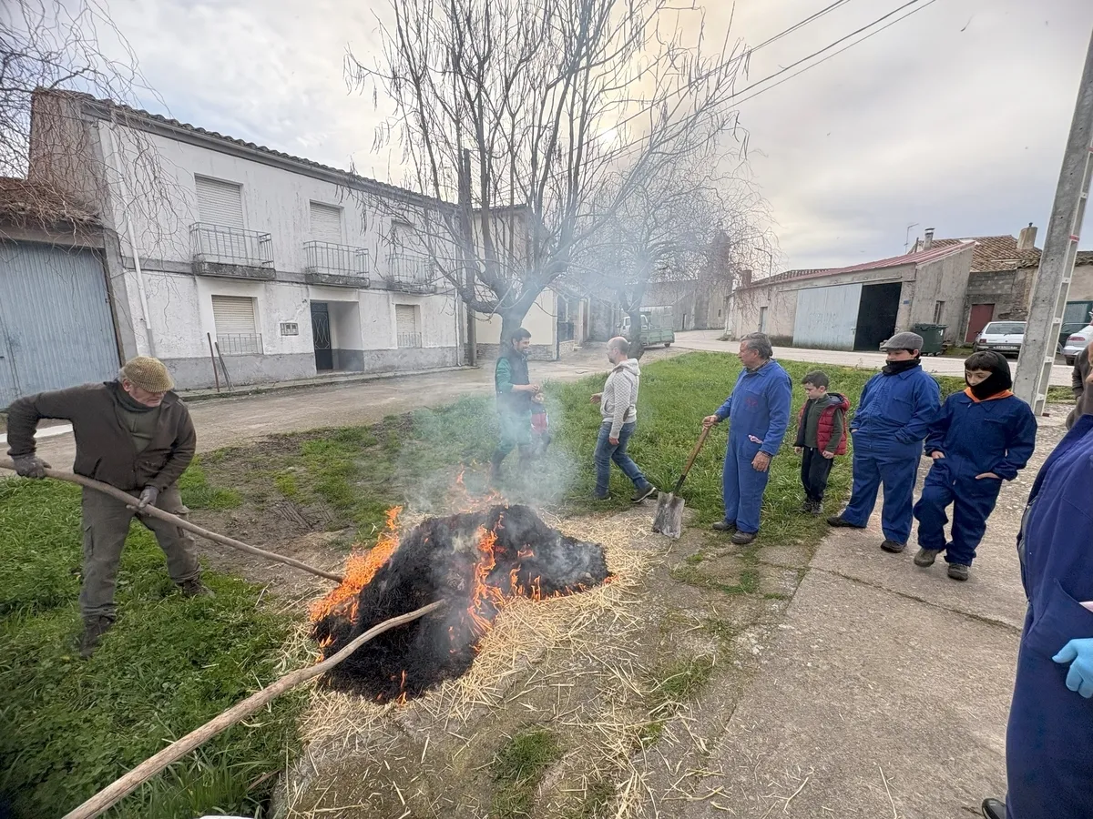 I Matanza Tradicional celebrada en Valderrodrigo / Fotos: Luis Miguel Sánchez