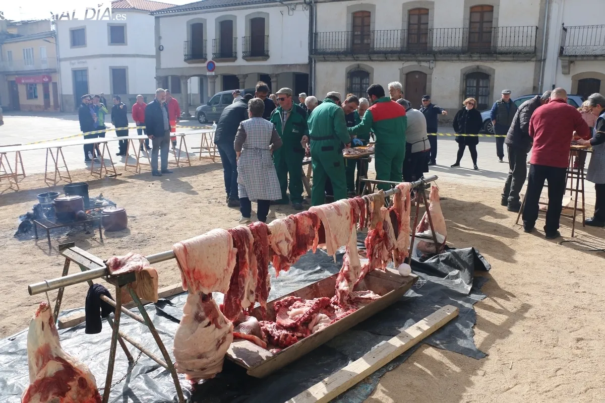 Matanza tradicional en Villavieja de Yeltes / CORRAL