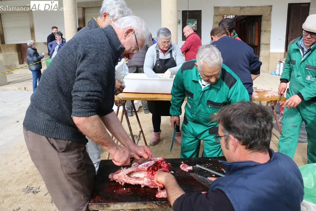 Matanza tradicional en Villavieja de Yeltes / CORRAL