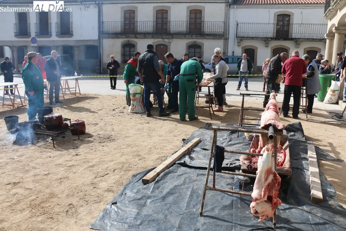 Matanza tradicional en Villavieja de Yeltes / CORRAL