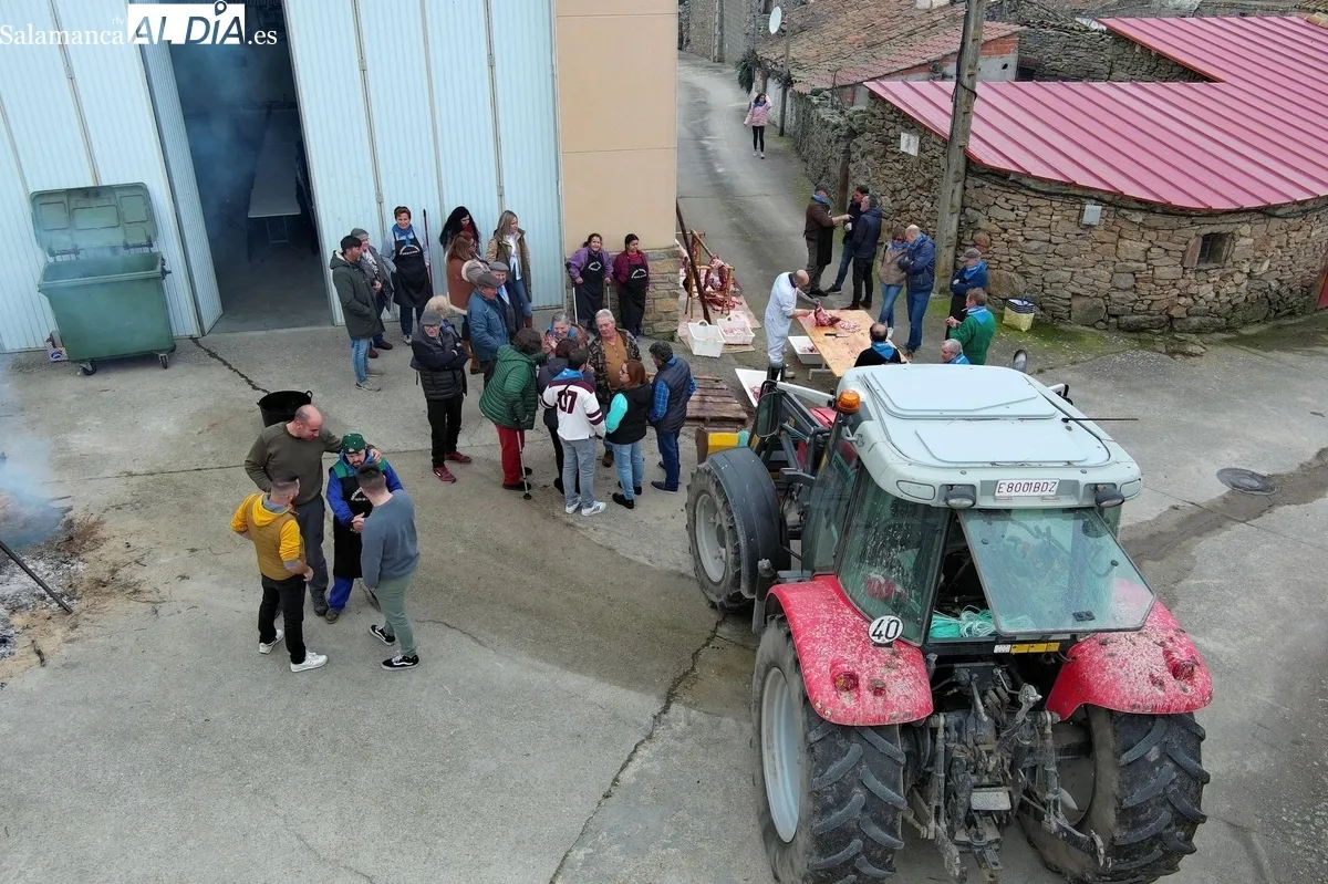 Celebración de la Matanza Tradicional en Gejo de los Reyes 