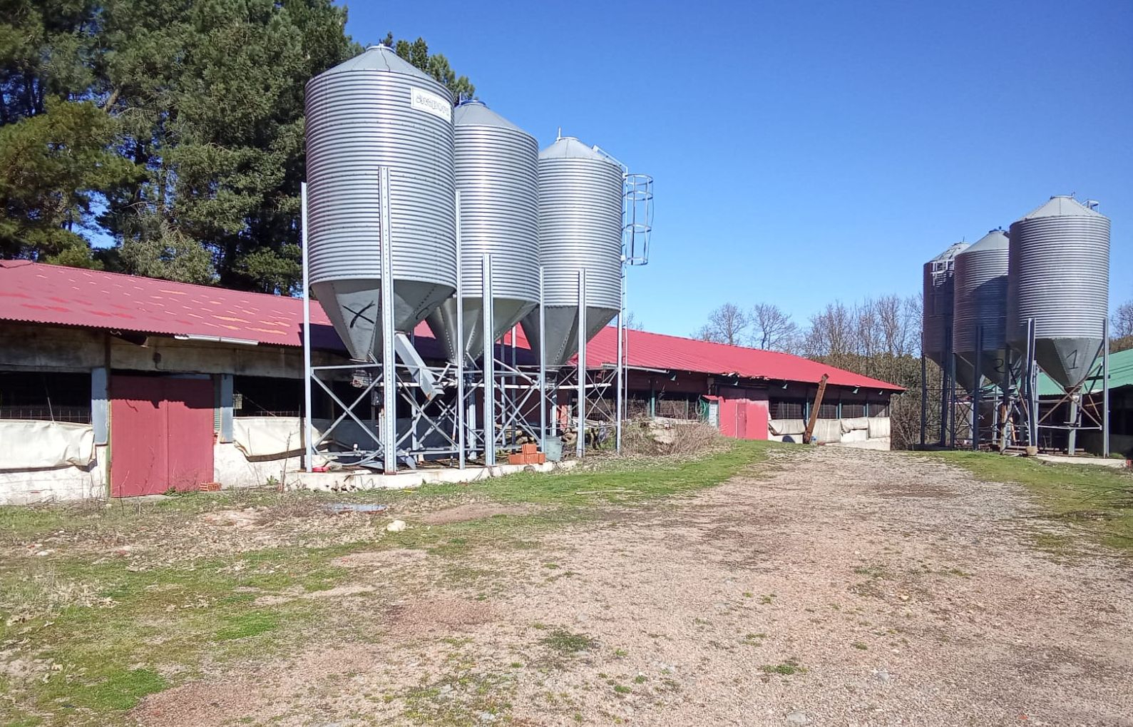 Oportunidad para emprender en la provincia de Salamanca: explotación avícola en Navasfrías