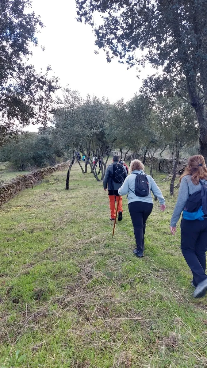 El grupo Abadengo en Ruta estrenó la ruta de reciente creación Cosos-Malgarrida en Hinojosa de Duero