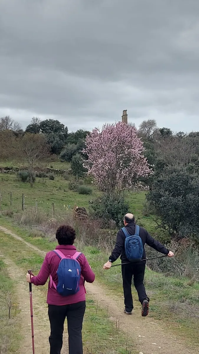 El grupo Abadengo en Ruta estrenó la ruta de reciente creación Cosos-Malgarrida en Hinojosa de Duero
