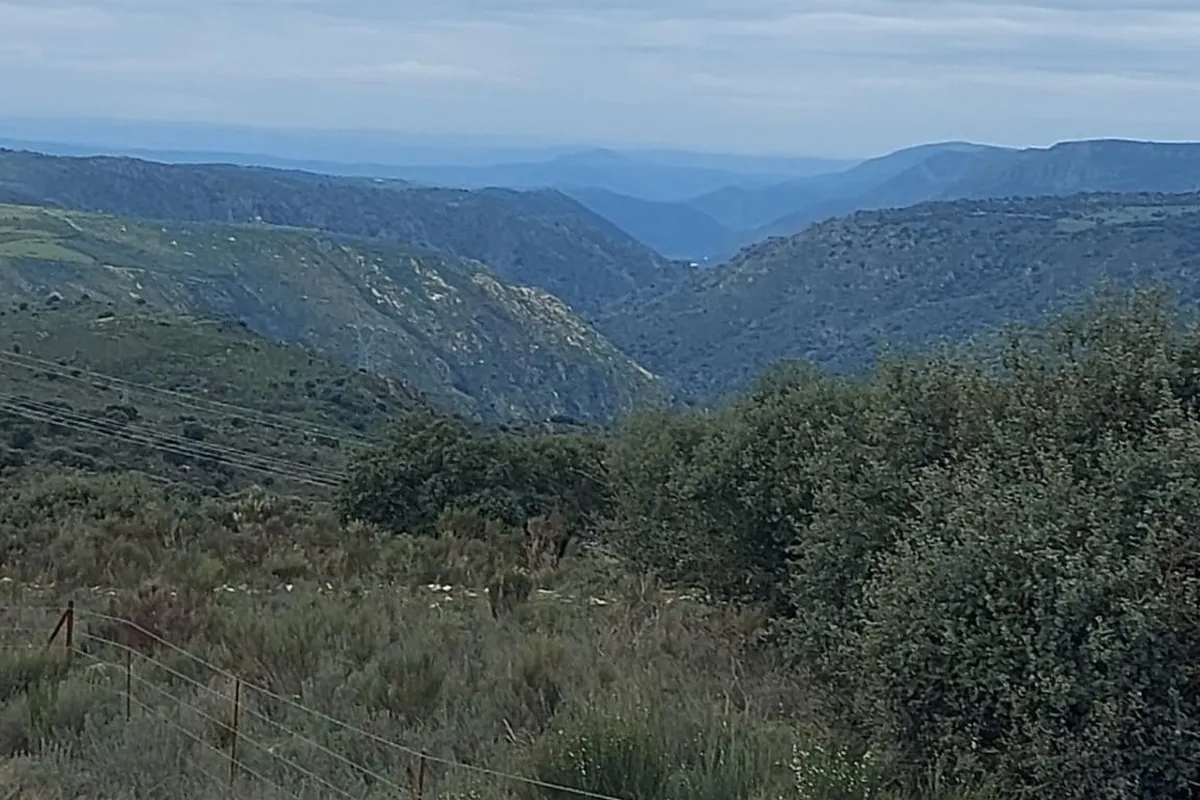 El grupo Abadengo en Ruta estrenó la ruta de reciente creación Cosos-Malgarrida en Hinojosa de Duero