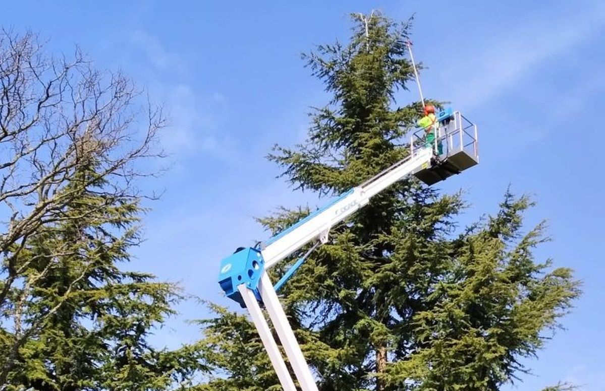 Tratamientos para prevenir la plaga de procesionaria en las zonas verdes de Salamanca