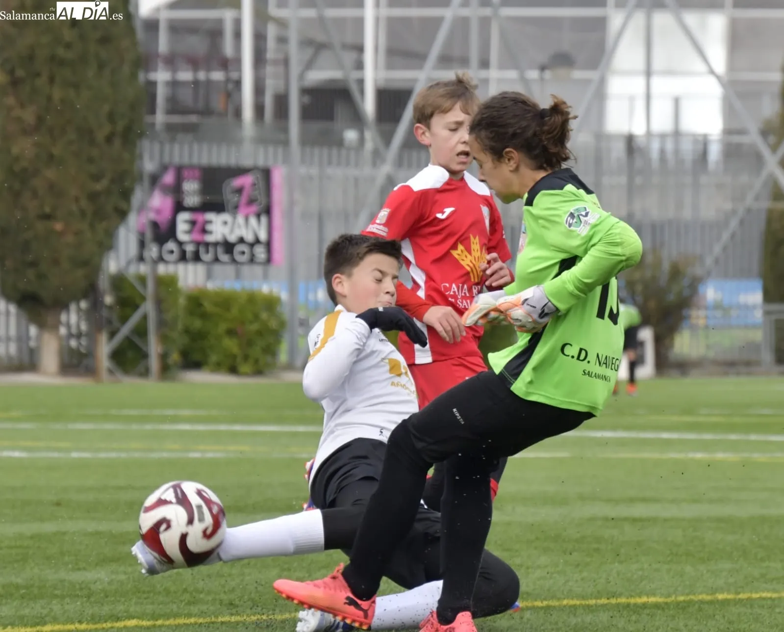 Galería de imágenes / Fotos: SALAMANCArtv AL DÍA