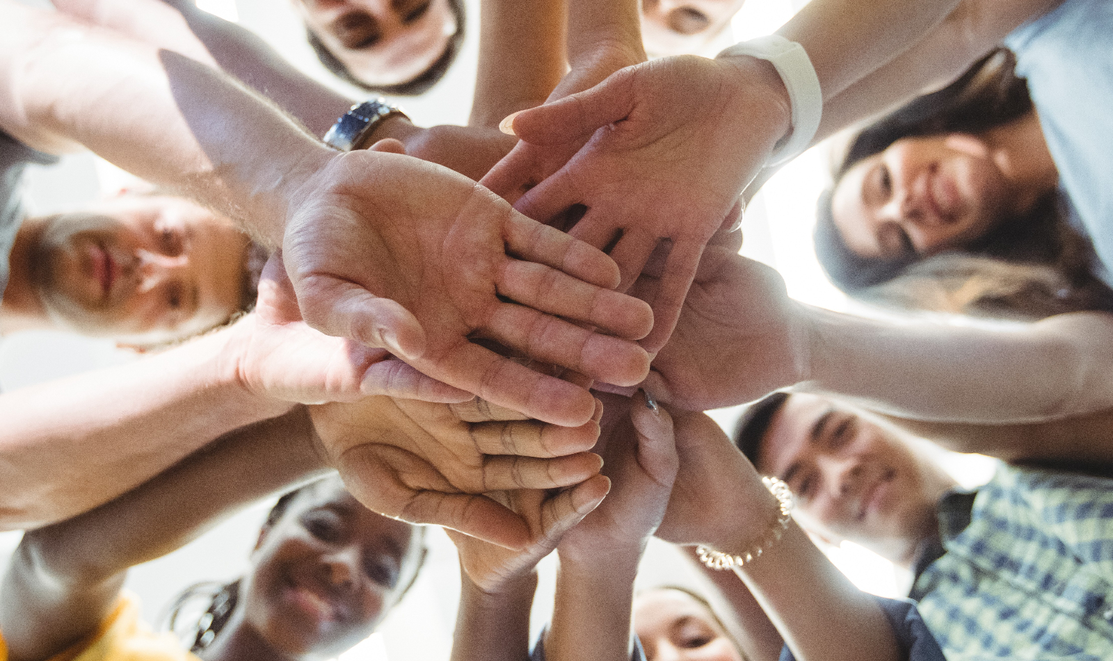 Radiografía de las ONG´s en Salamanca: ¿cuántas hay y cómo ayudar?