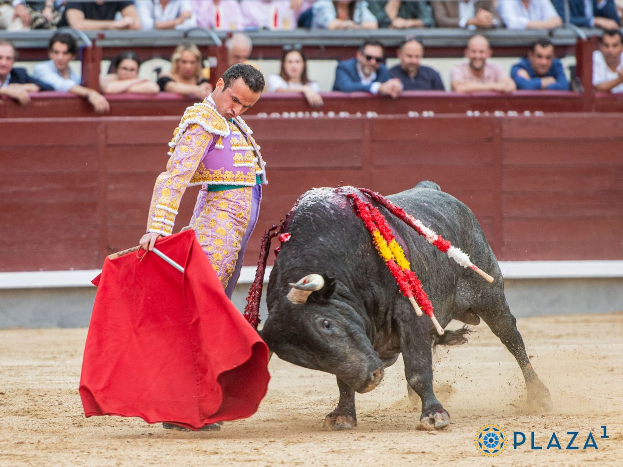 Viaje desde Salamanca a Las Ventas para ver a Damián Castaño