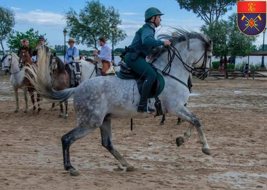 Así es el Escuadrón de Caballería que velará por la seguridad en el Carnaval del Toro