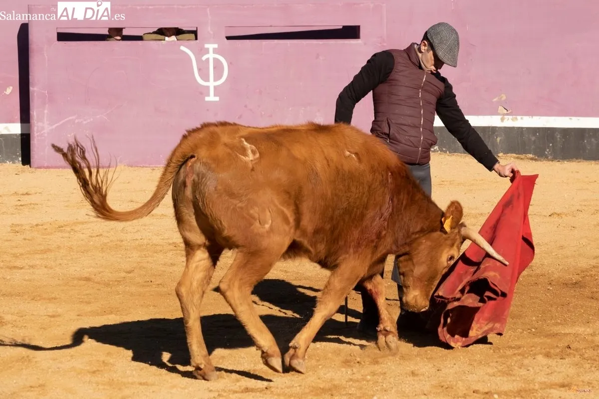 Javier Castaño en un tentadero en Pedraza de Yeltes | Fotos: Pablo Angular