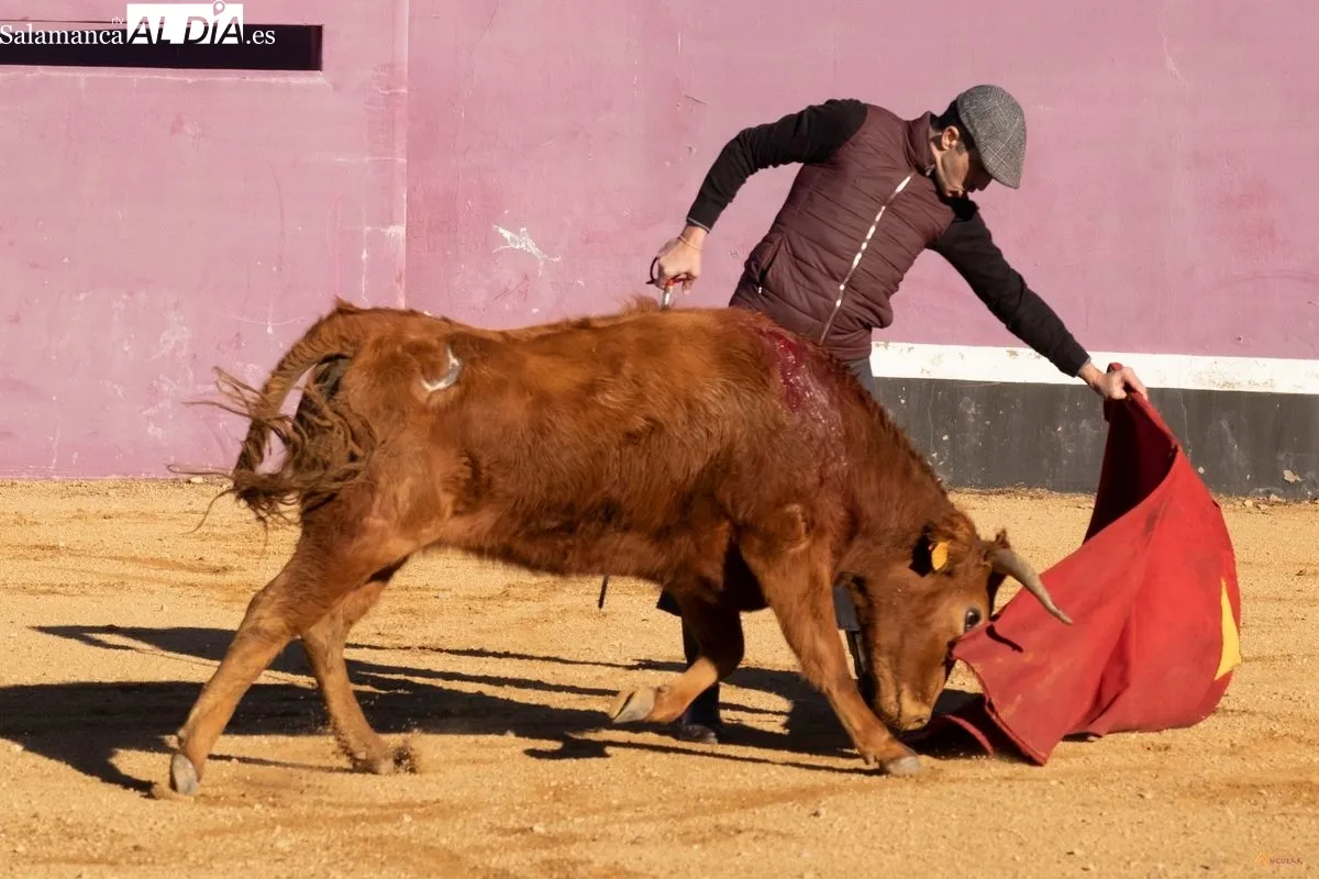 Javier Castaño en un tentadero en Pedraza de Yeltes | Fotos: Pablo Angular