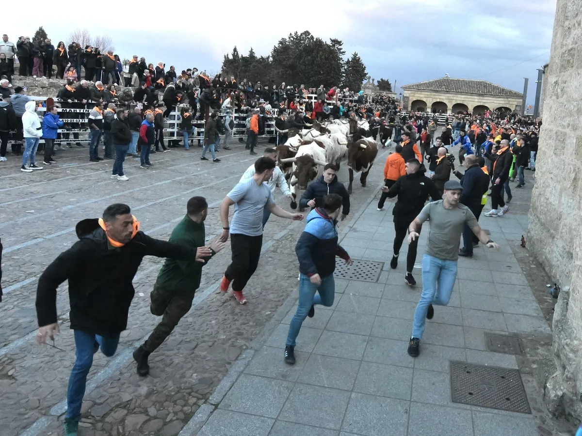 Foto 14 - Momentos de tensi&oacute;n en el encierro de mansos por la masiva afluencia de corredores