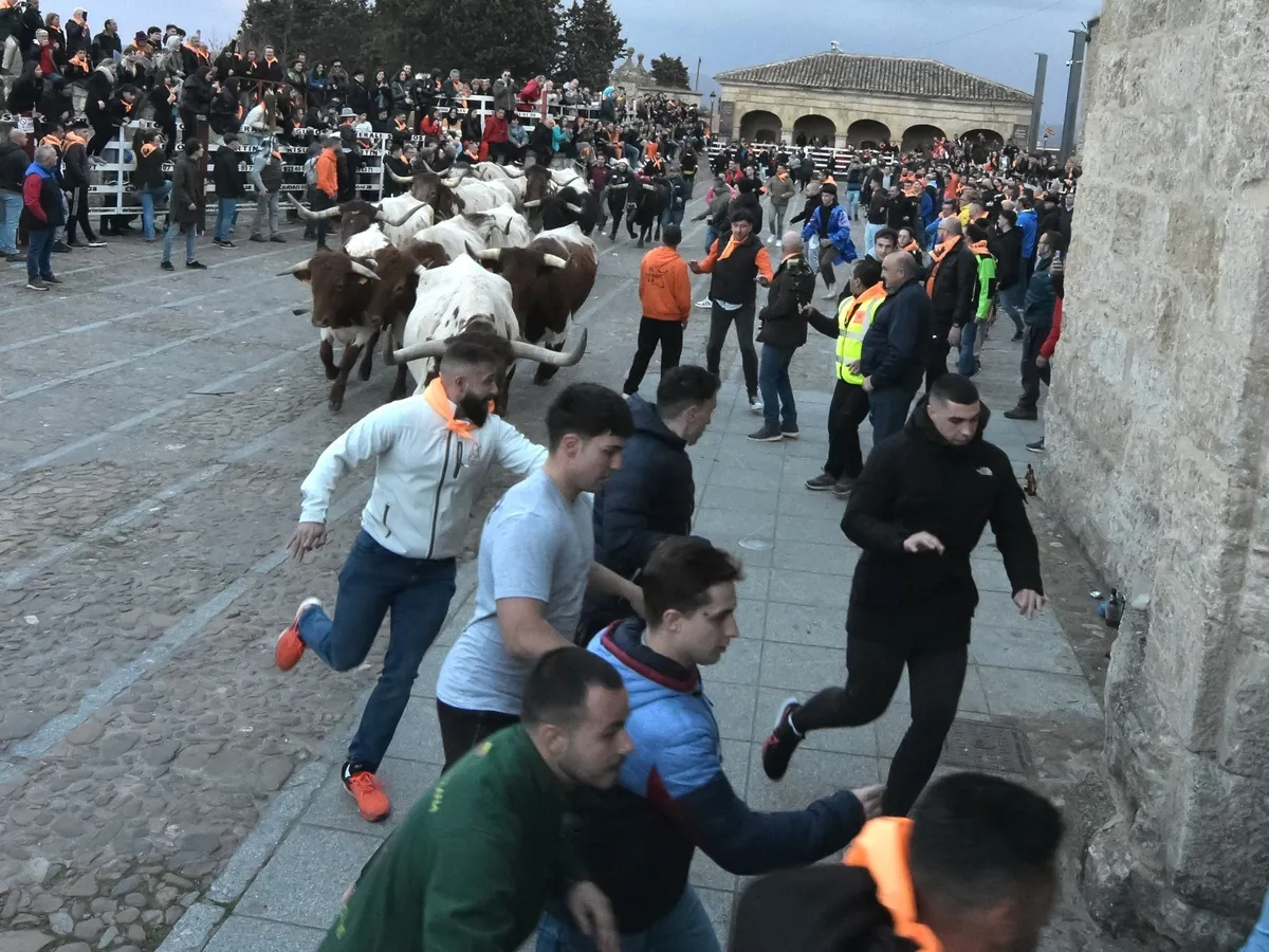 Foto 15 - Momentos de tensi&oacute;n en el encierro de mansos por la masiva afluencia de corredores