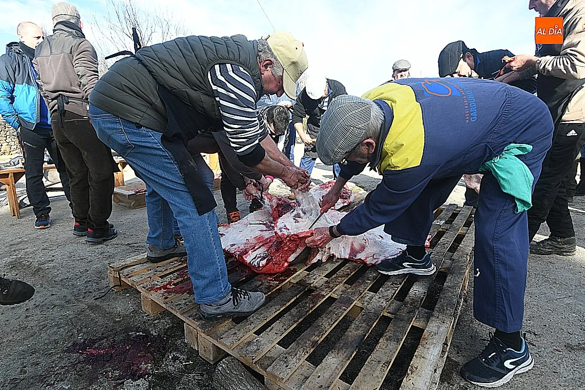 Labores de la matanza típica del cerdo en Saelices El Chico / Fotos: Adrián M.Pastor