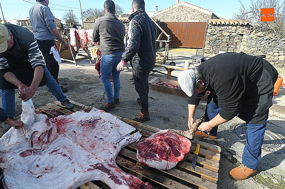 Labores de la matanza típica del cerdo en Saelices El Chico / Fotos: Adrián M.Pastor