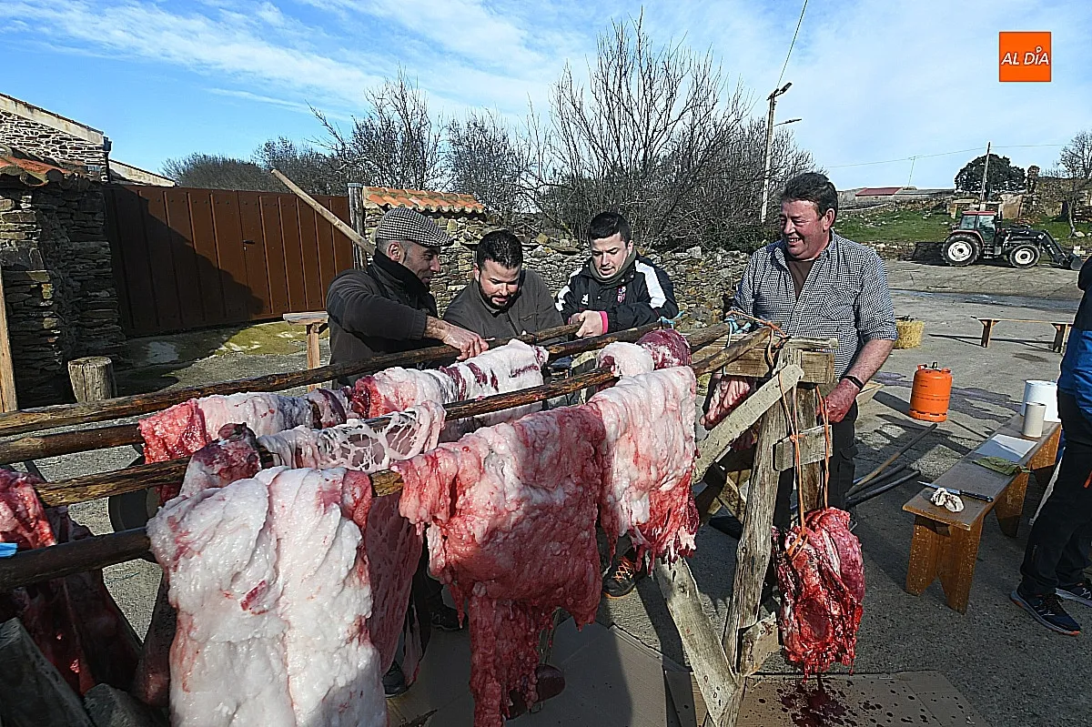 Labores de la matanza típica del cerdo en Saelices El Chico / Fotos: Adrián M.Pastor