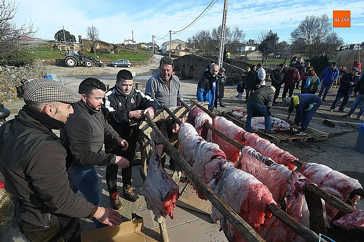 Labores de la matanza típica del cerdo en Saelices El Chico / Fotos: Adrián M.Pastor