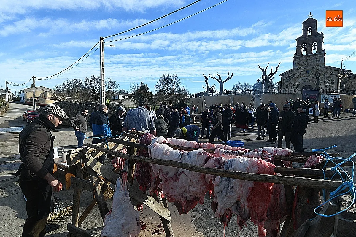 Labores de la matanza típica del cerdo en Saelices El Chico / Fotos: Adrián M.Pastor