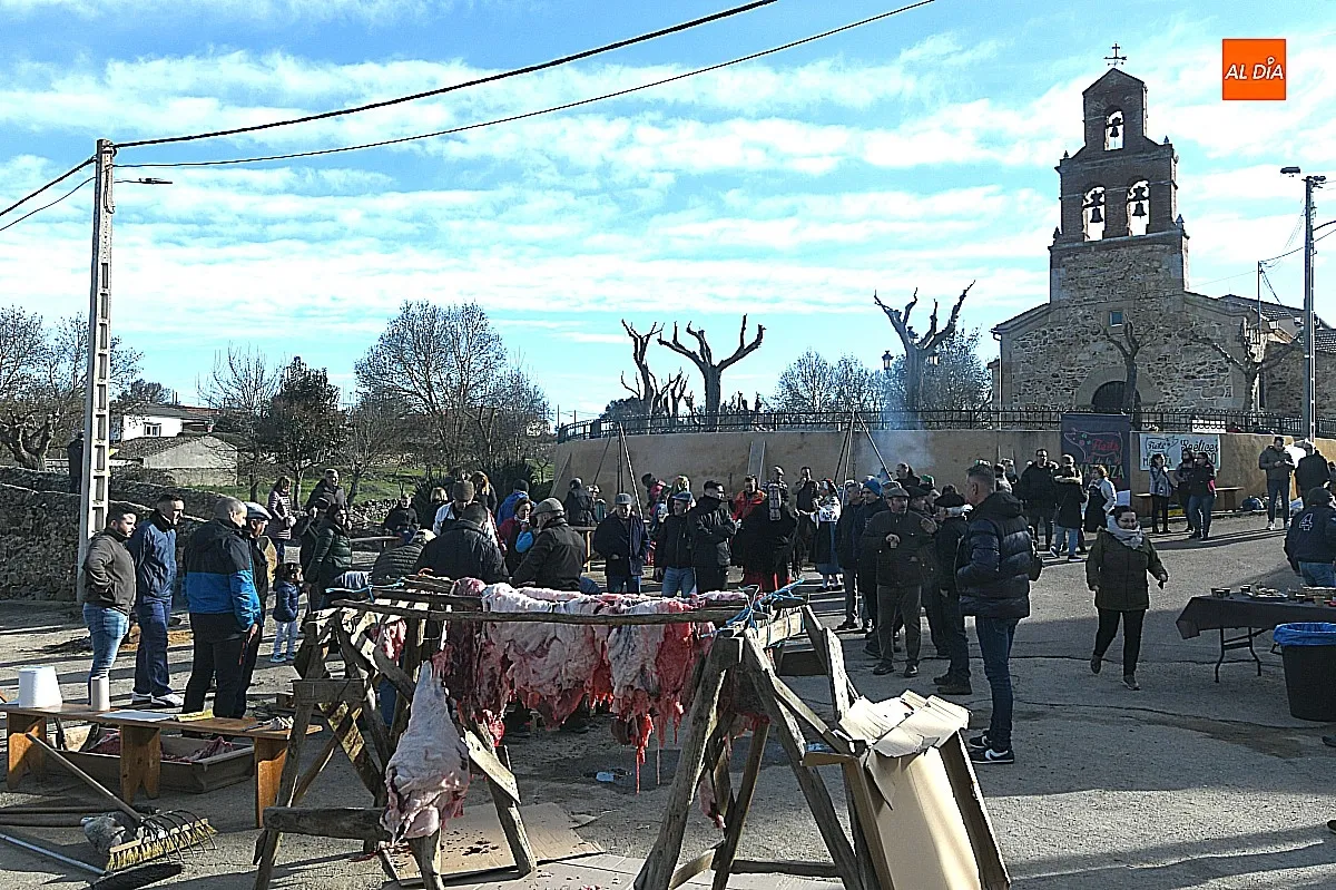Labores de la matanza típica del cerdo en Saelices El Chico / Fotos: Adrián M.Pastor