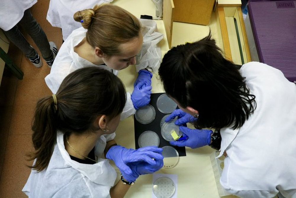 Proyecto ‘Micromundo’ en la USAL para concienciar sobre la resistencia a los antibióticos