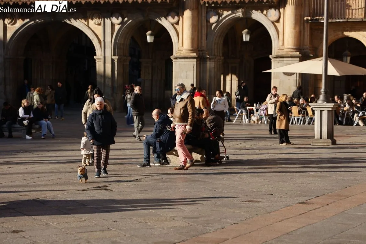 Salamanca disfruta del sol de la tarde y 'se olvida' de la nieve | FOTOS: David Sañudo 