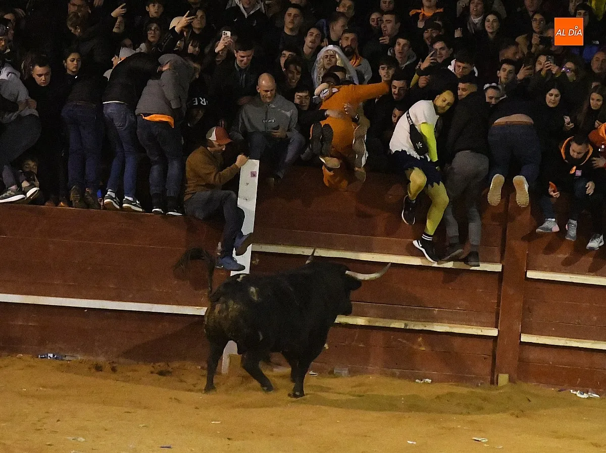 Foto 3 - Perezoso y Optimista protagonizan con sus imponentes cornamentas los primeros momentos con toros