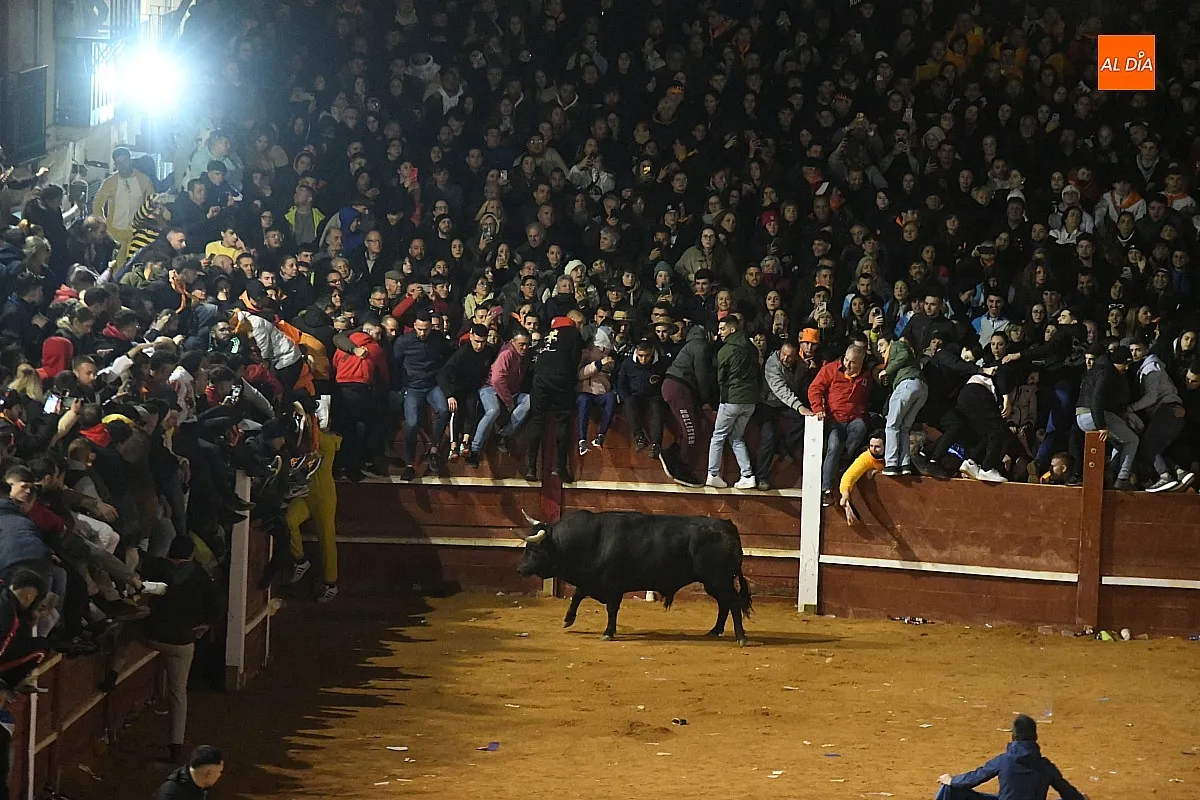 Foto 4 - Perezoso y Optimista protagonizan con sus imponentes cornamentas los primeros momentos con toros