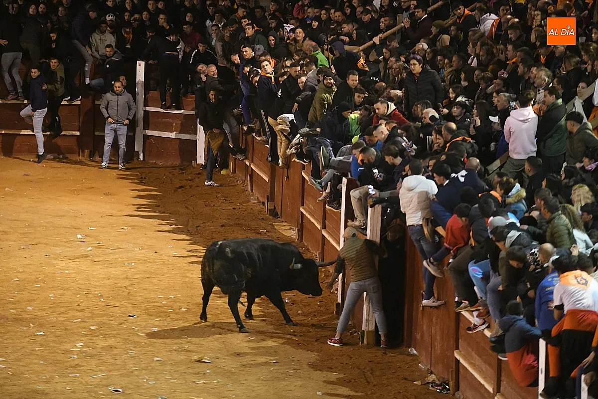 Foto 6 - Perezoso y Optimista protagonizan con sus imponentes cornamentas los primeros momentos con toros