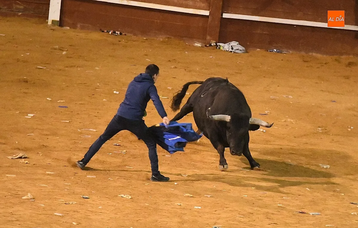 Foto 9 - Perezoso y Optimista protagonizan con sus imponentes cornamentas los primeros momentos con toros
