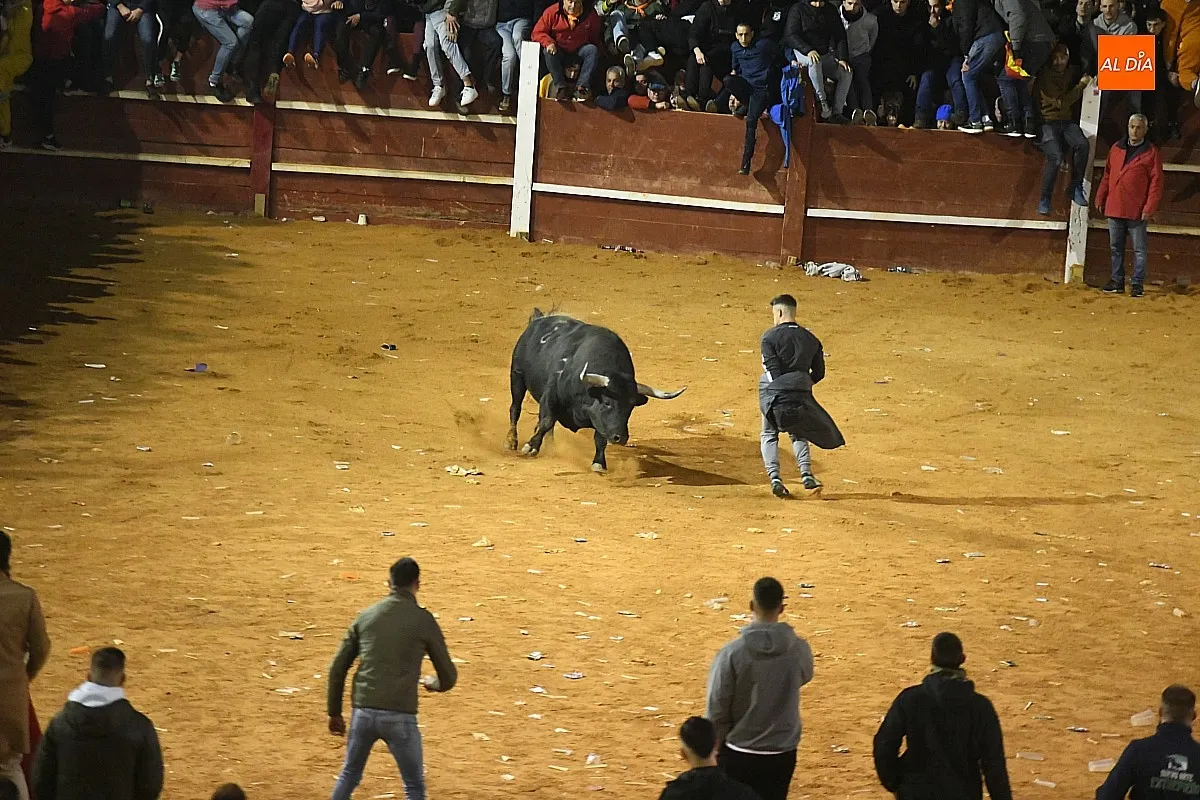 Foto 10 - Perezoso y Optimista protagonizan con sus imponentes cornamentas los primeros momentos con toros