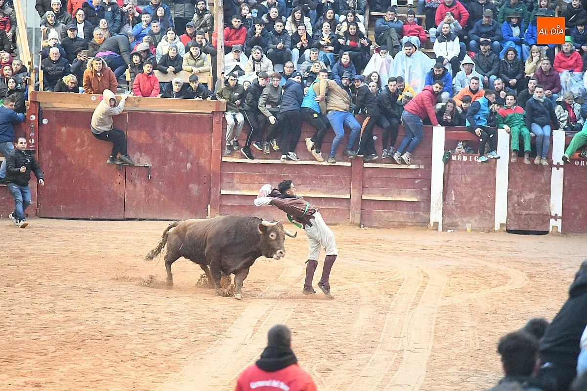 Capea lunes tarde con toros de Juan José Cano Muñoz/ Fotos: Adrián M.Pastor